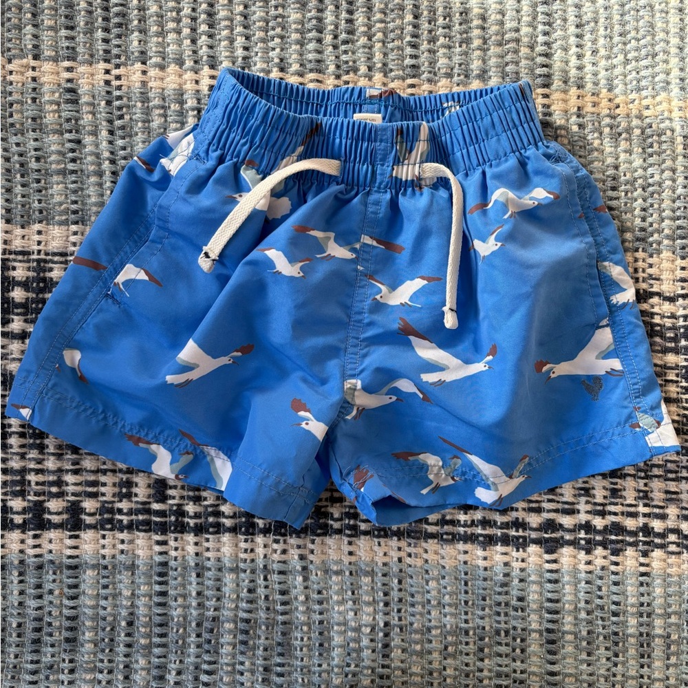 Pink Chicken Sky Blue Seagull Swim Trunks